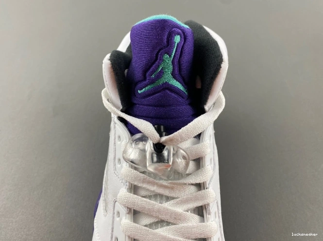 Rep LUCY (2013) Grape 5 Jordan Retro 136027-108 Air 0629
